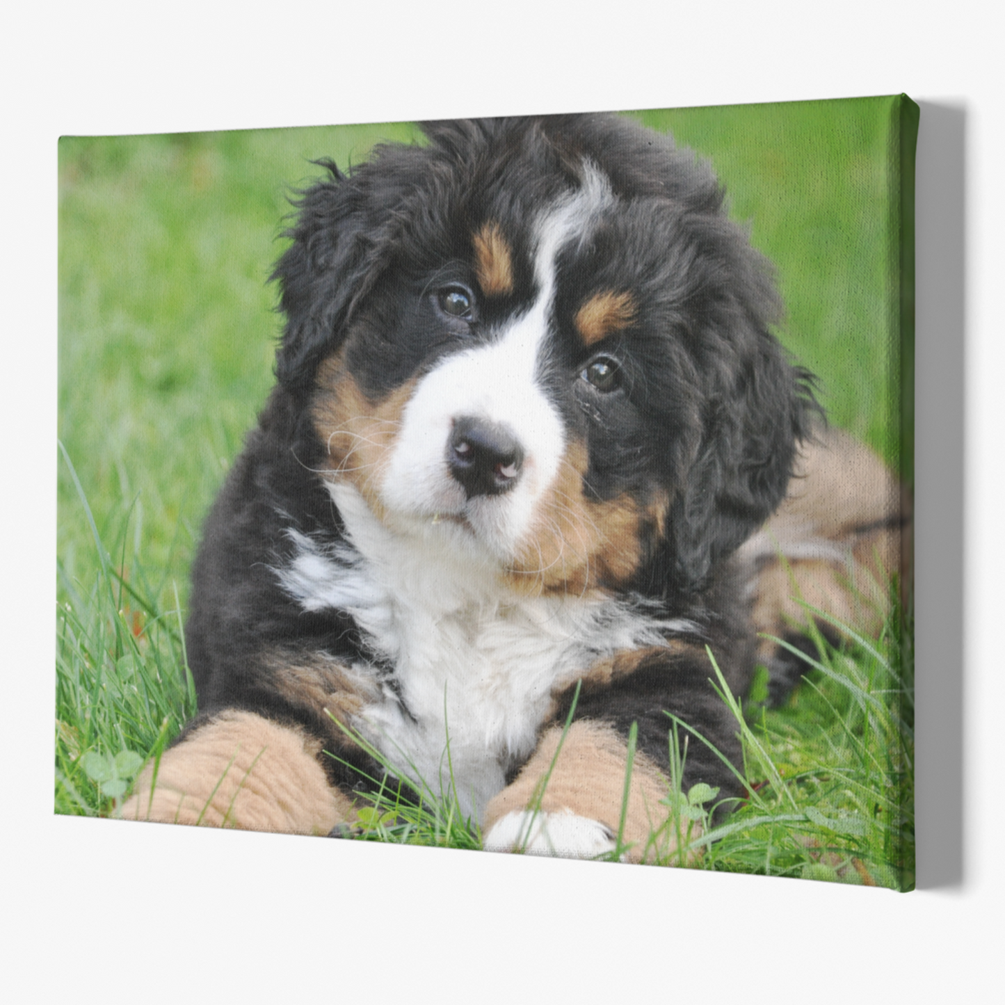 Cuadro Personalizado I con Fotografía o Diseño (Horizontal)
