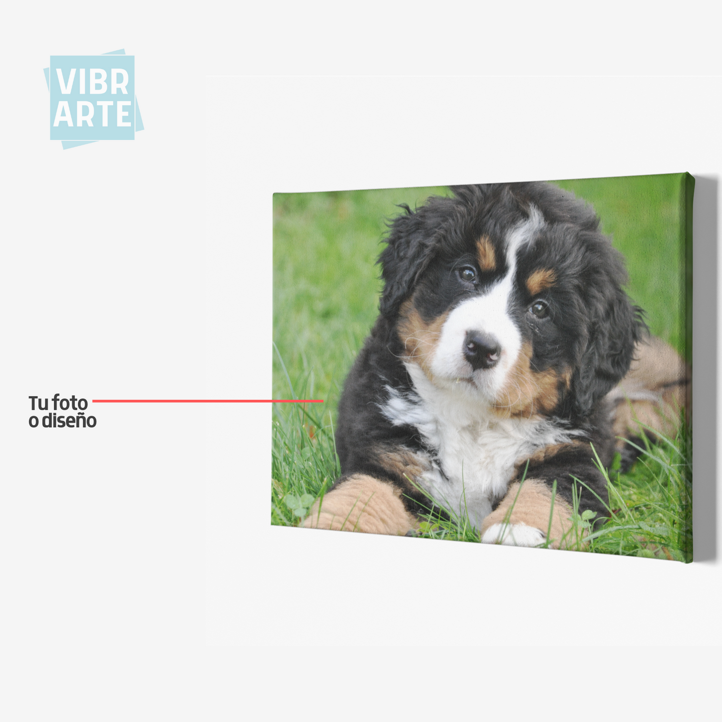 Cuadro Personalizado I con Fotografía o Diseño (Horizontal)